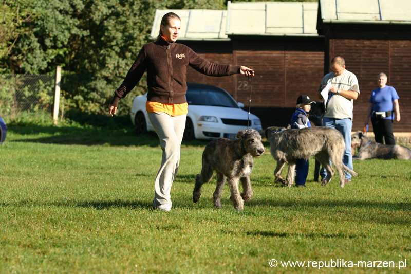 TullamoreCup09_0069