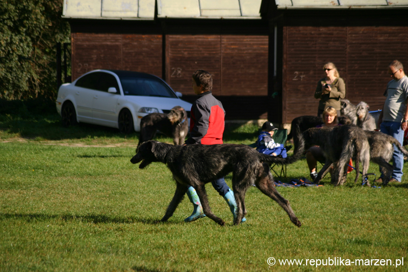 TullamoreCup09_0123