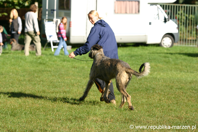 TullamoreCup09_0131