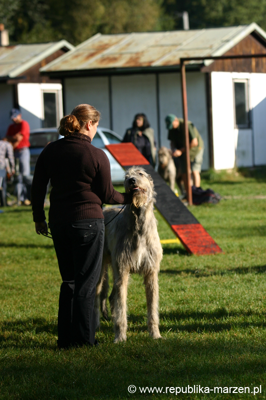 TullamoreCup09_0134