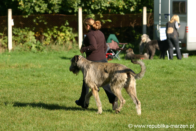 TullamoreCup09_0136
