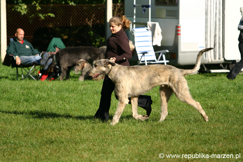 TullamoreCup09_0139