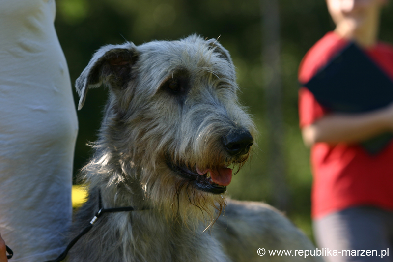 TullamoreCup09_0247