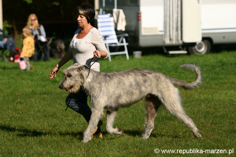 TullamoreCup09_0259