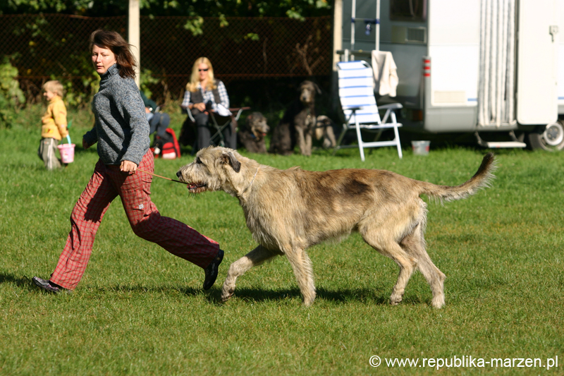 TullamoreCup09_0261