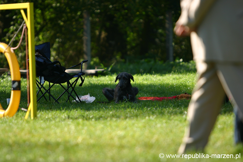 TullamoreCup09_0275