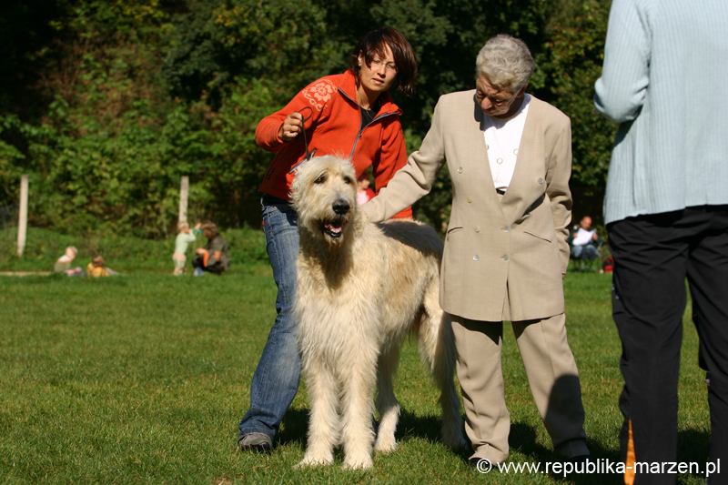 TullamoreCup09_0327