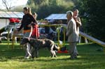 TullamoreCup09_0062