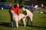 TullamoreCup09_0100