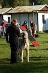 TullamoreCup09_0134