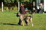 TullamoreCup09_0136