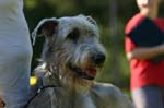 TullamoreCup09_0247