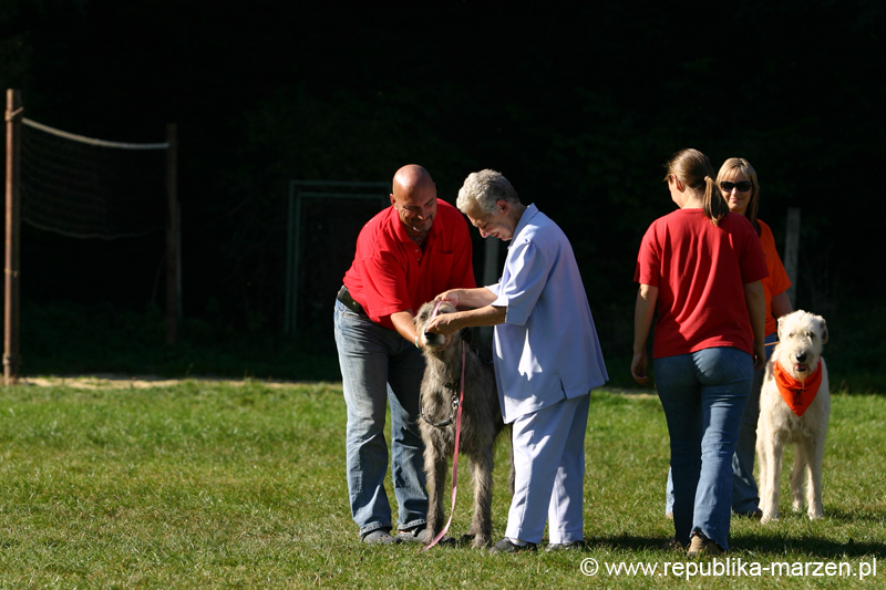 TullamoreCup09_0774