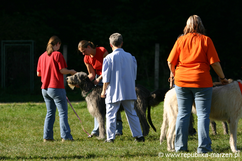 TullamoreCup09_0776