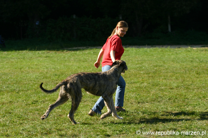 TullamoreCup09_0810