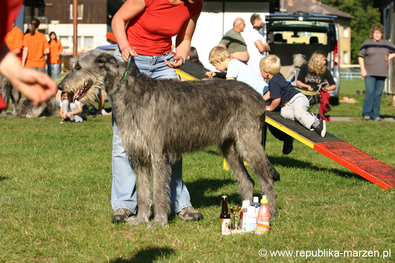 TullamoreCup09_0864