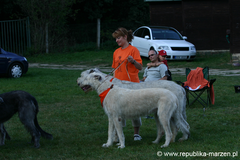 TullamoreCup09_0912