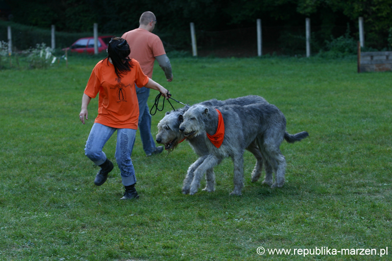 TullamoreCup09_0931