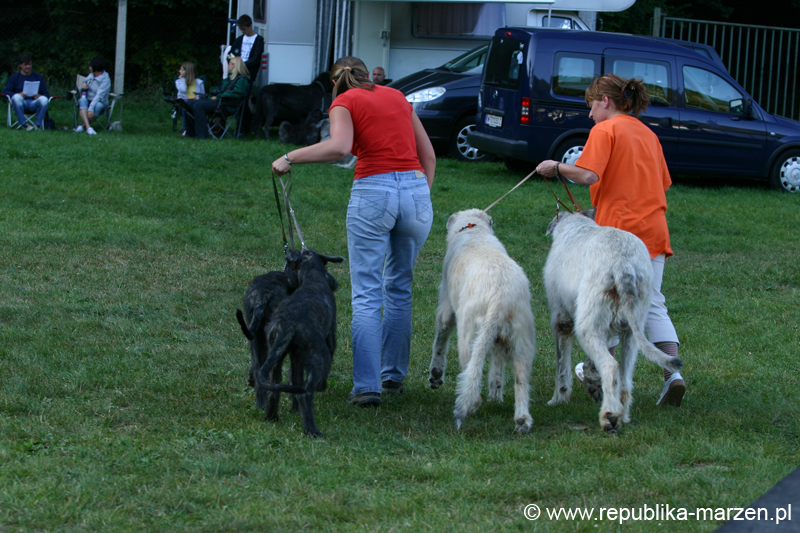 TullamoreCup09_0936