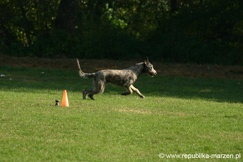 TullamoreCup09_1032