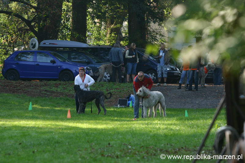 TullamoreCup09_1038