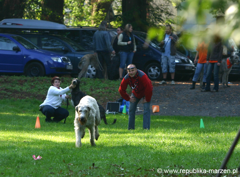 TullamoreCup09_1040