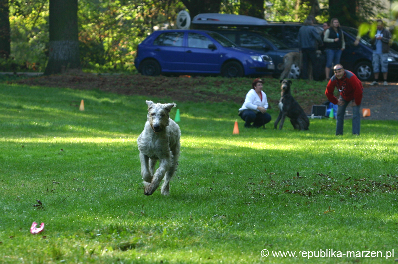TullamoreCup09_1041