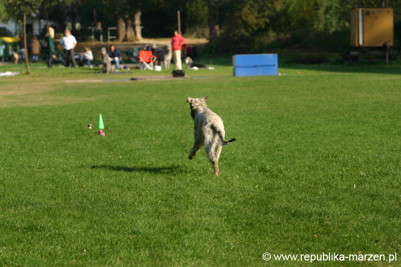 TullamoreCup09_1046