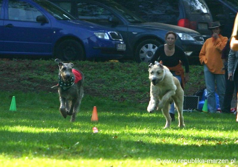 TullamoreCup09_1095