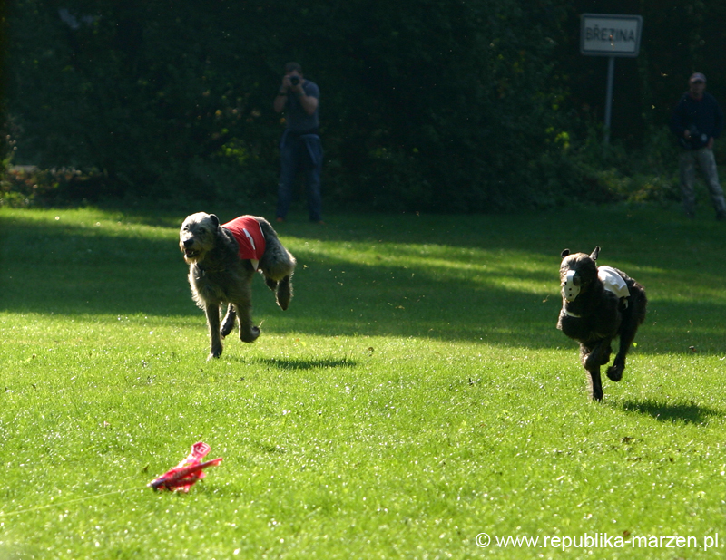 TullamoreCup09_1127
