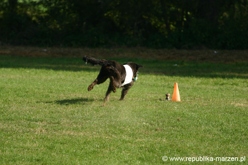 TullamoreCup09_1131