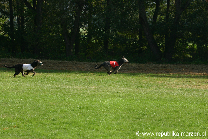 TullamoreCup09_1133