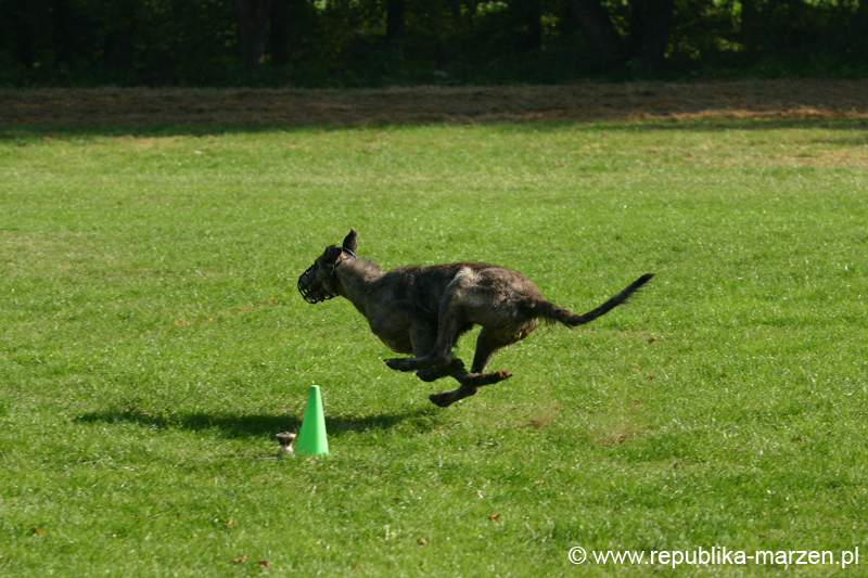 TullamoreCup09_1138