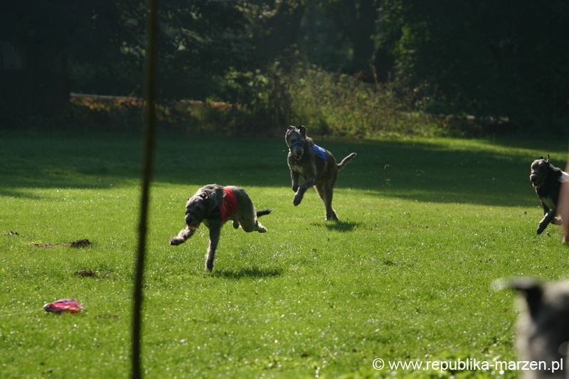 TullamoreCup09_1147