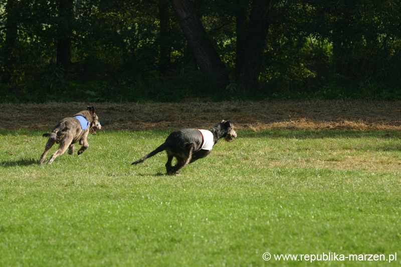 TullamoreCup09_1152
