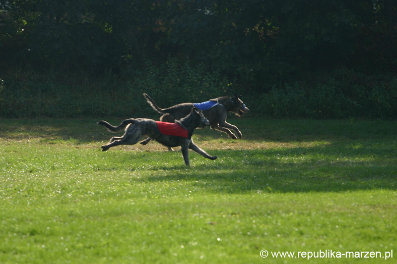 TullamoreCup09_1155