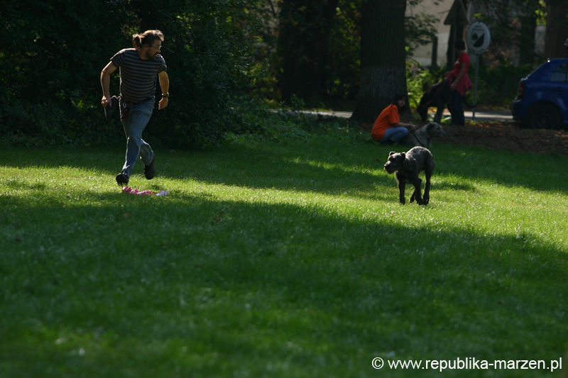 TullamoreCup09_1205