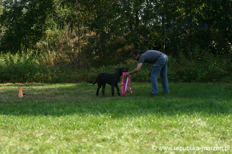 TullamoreCup09_1209