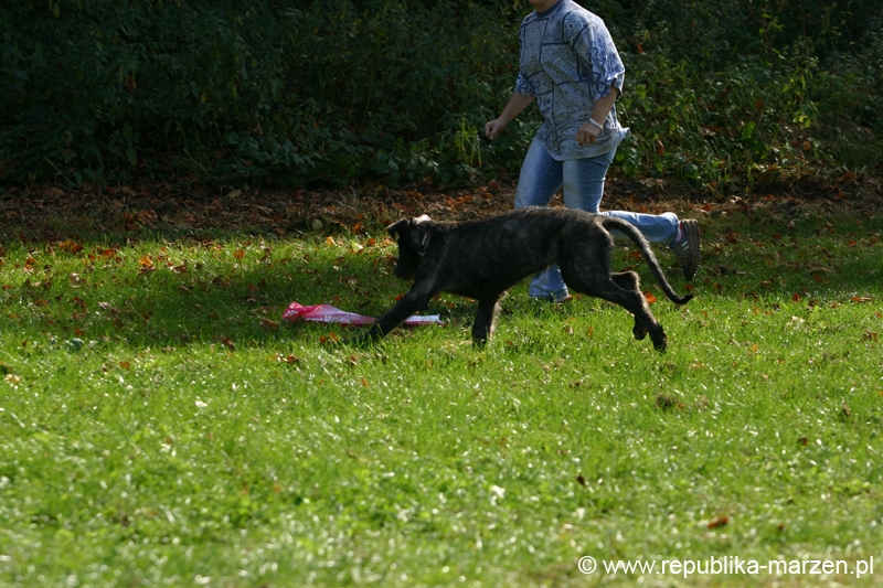 TullamoreCup09_1220
