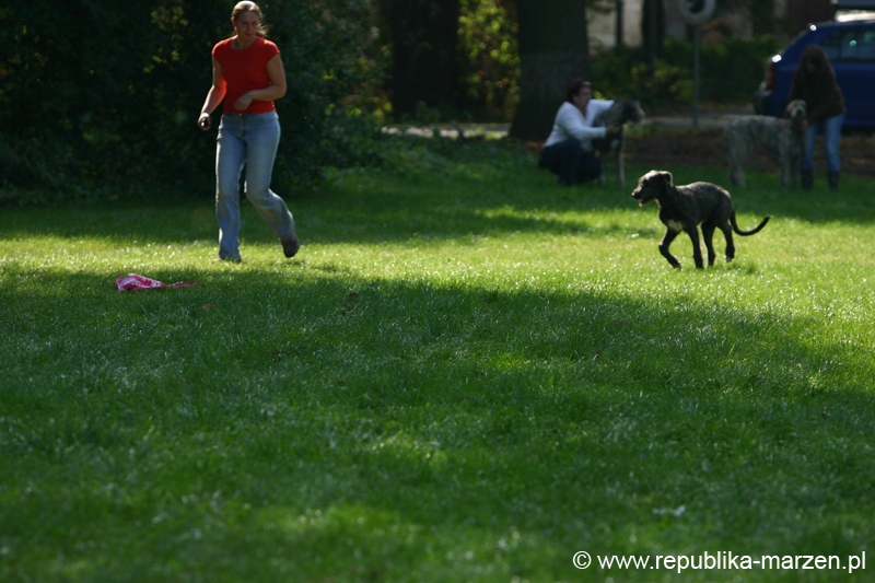 TullamoreCup09_1225