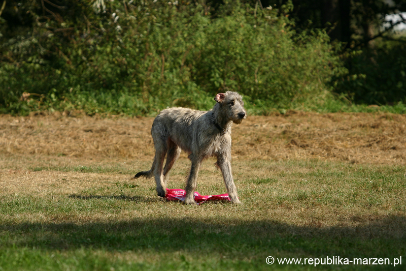 TullamoreCup09_1238