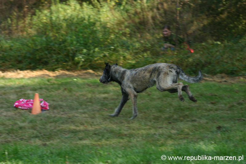 TullamoreCup09_1245