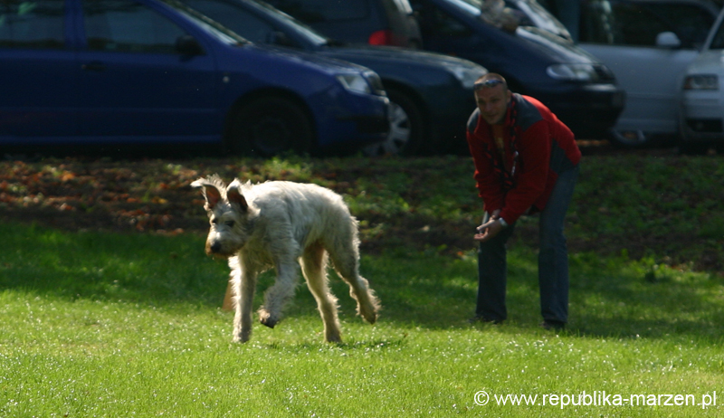 TullamoreCup09_1257