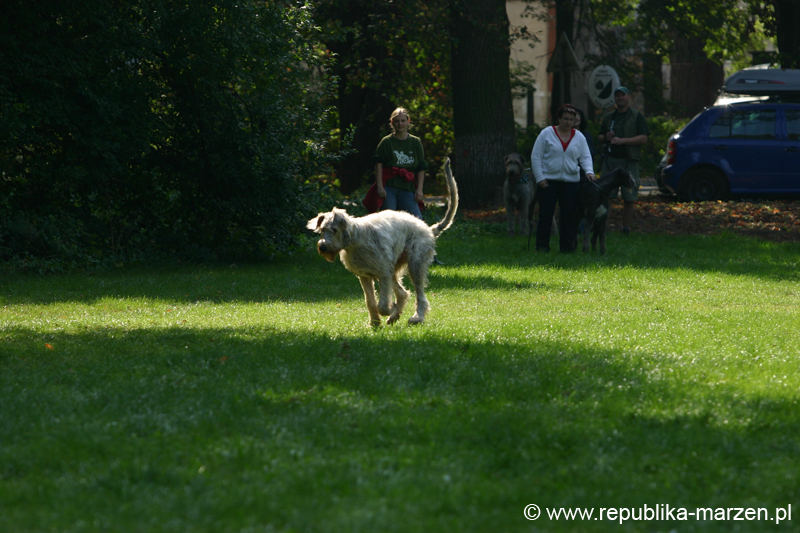 TullamoreCup09_1258