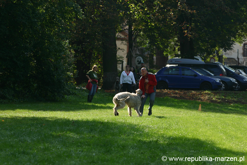 TullamoreCup09_1260