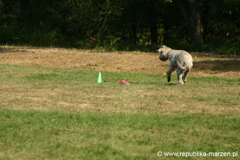 TullamoreCup09_1266