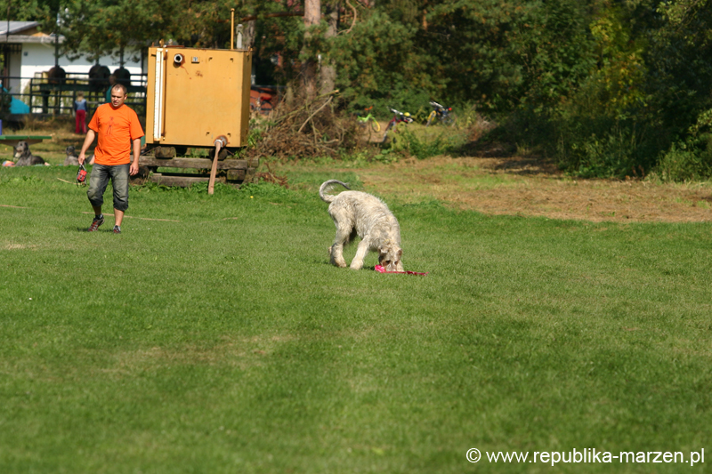 TullamoreCup09_1270