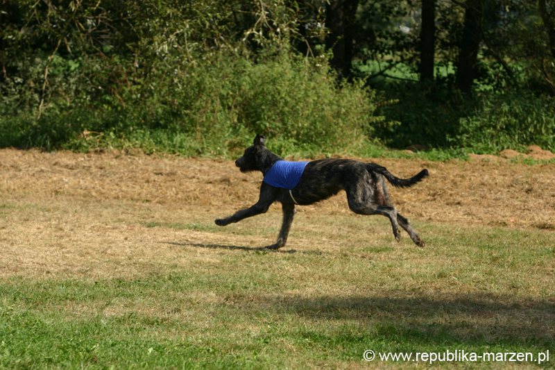 TullamoreCup09_1278