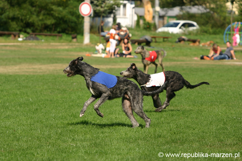 TullamoreCup09_1280