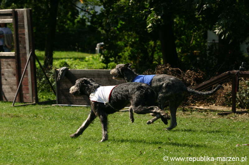 TullamoreCup09_1283